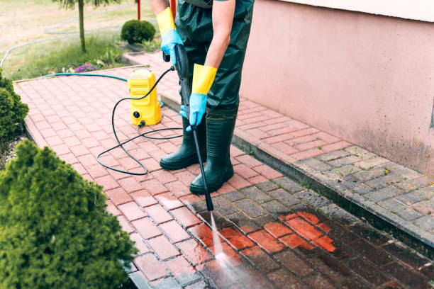 Best Pressure Washing Patio  in USA